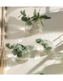 Nástenná vázička Bubble, číre sklo, 15 cm (M)