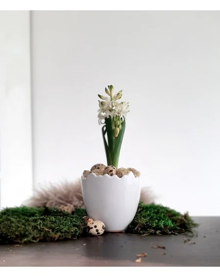 Keramický kvetináč škrupina, 11 cm